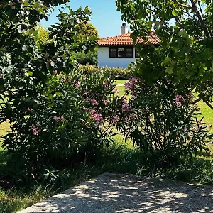  Ferienhaus Casa La Vida